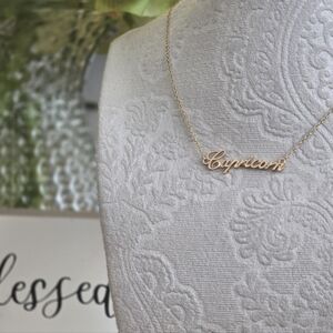 ♑️ ♓️ LIVE $5 Capricorn/Pisces Necklace